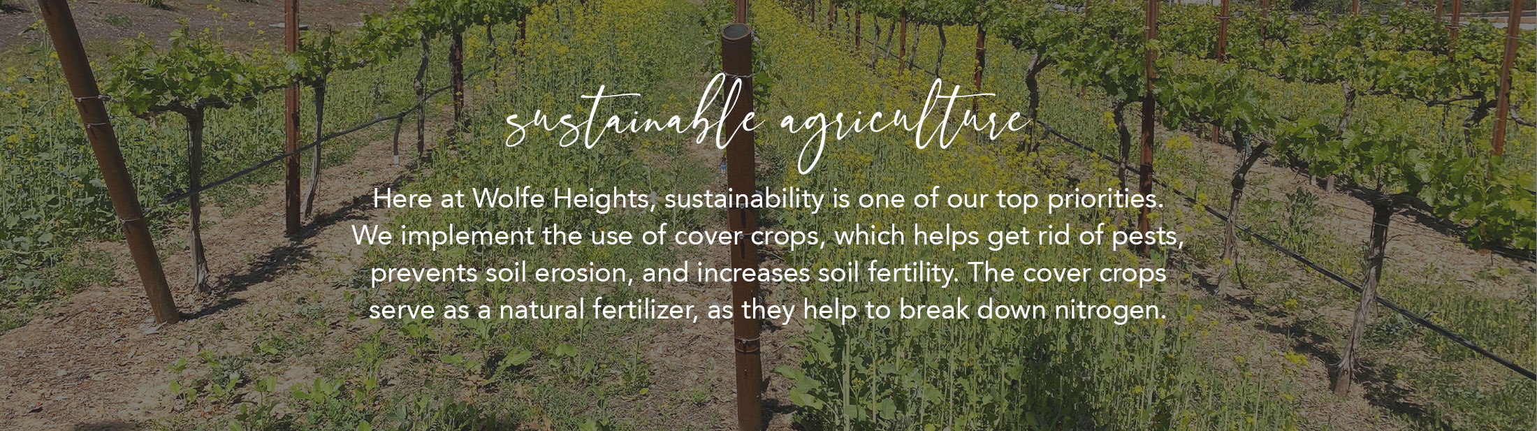 Sustainable Agriculture at Wolfe Heights Estates