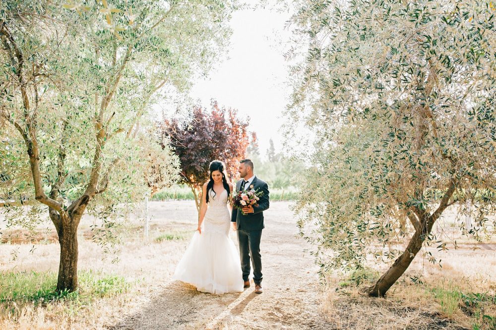 Bride and groom in the olive orchard
