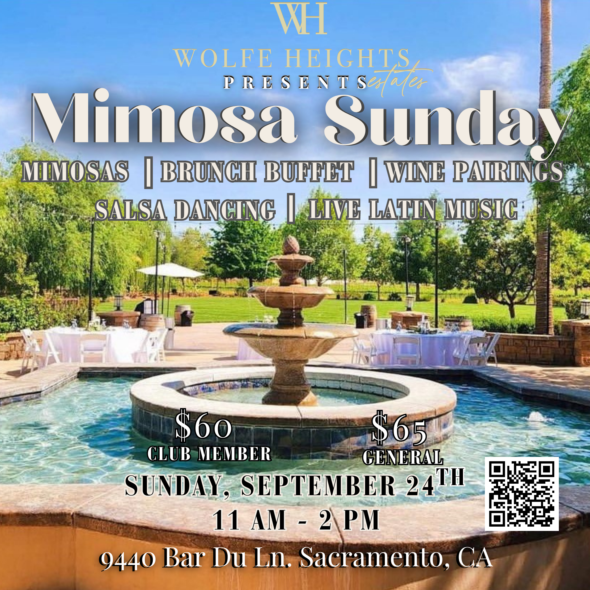 September Mimosa Sunday (3) September Mimosa Sunday