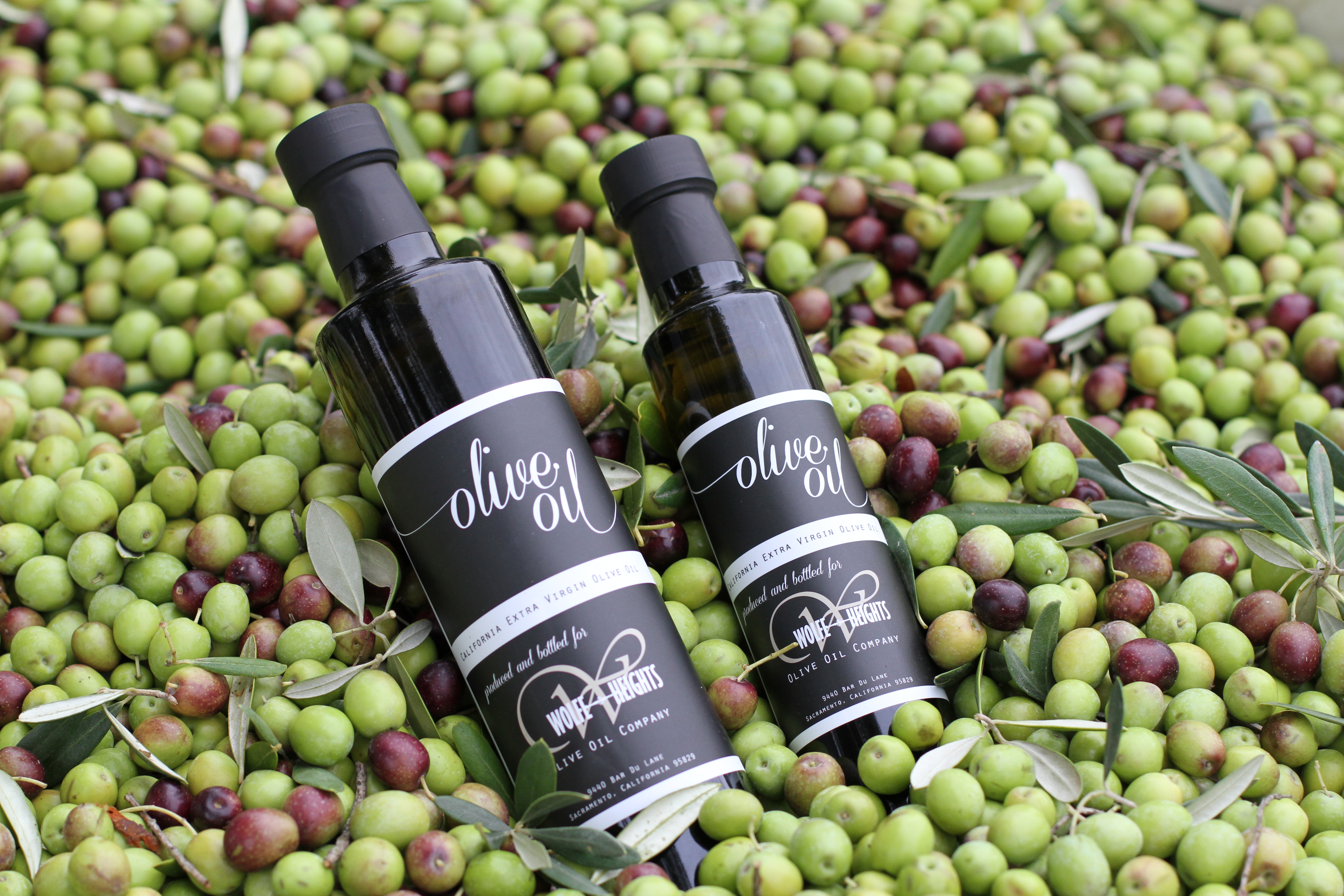 Two bottles of premium extra virgin olive oil, rich in golden hues and packed with robust flavor. Elegant glass containers showcasing the essence of Mediterranean excellence in every drop.
