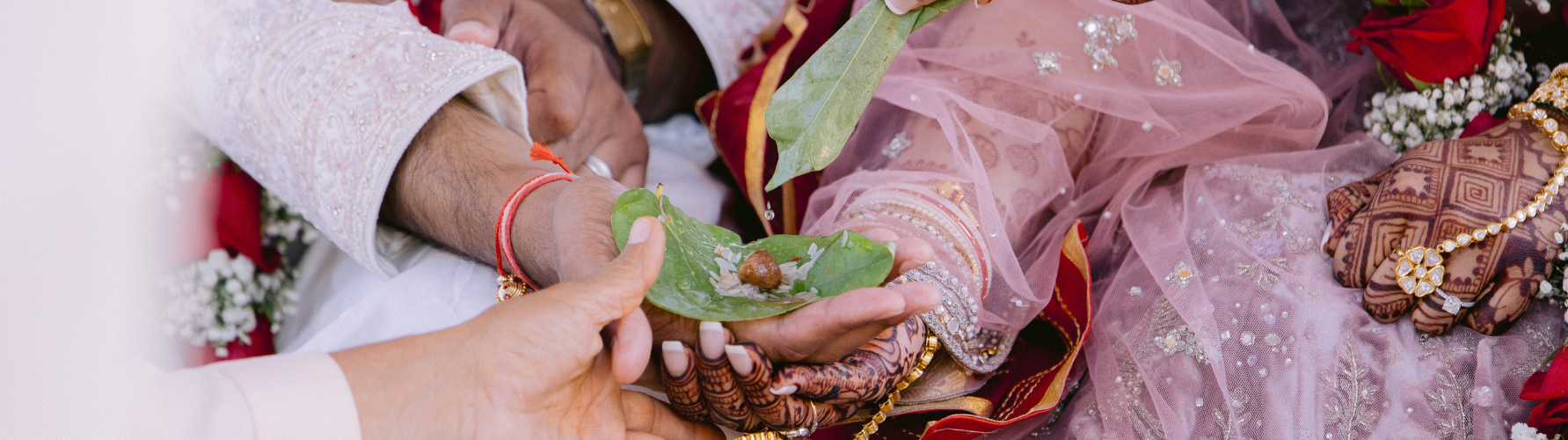 Close-up of gentle hands cradling a vibrant green leaf