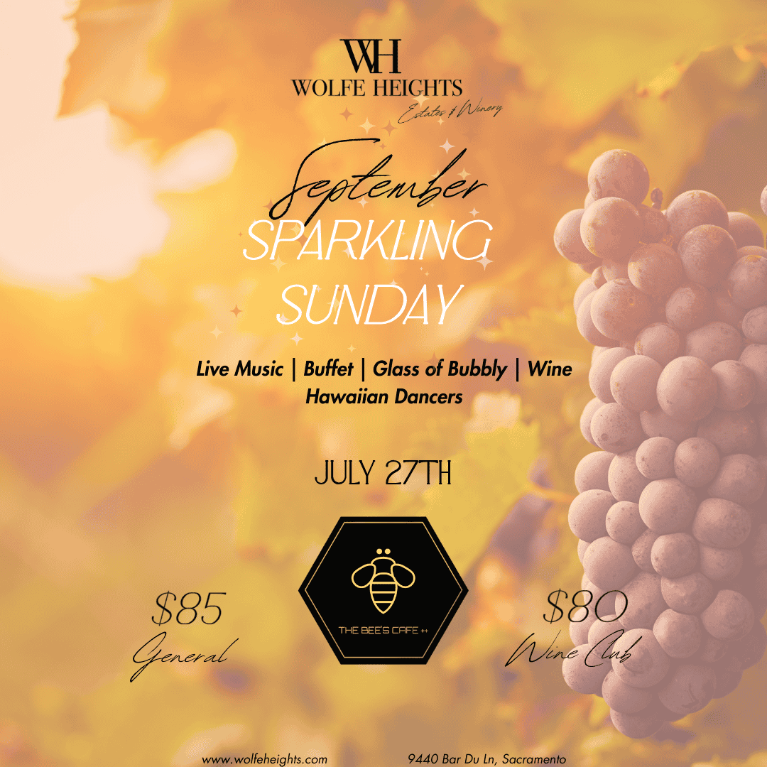 Sparkling Sundays 2025 (12)